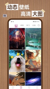 新澳门精准资料大全管家婆料截圖